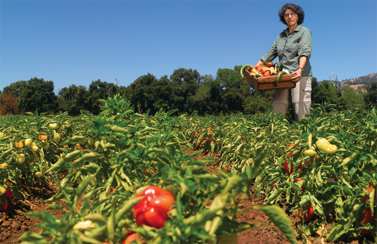 Feeding the world: It's all about starting small | Our Environment at  Berkeley