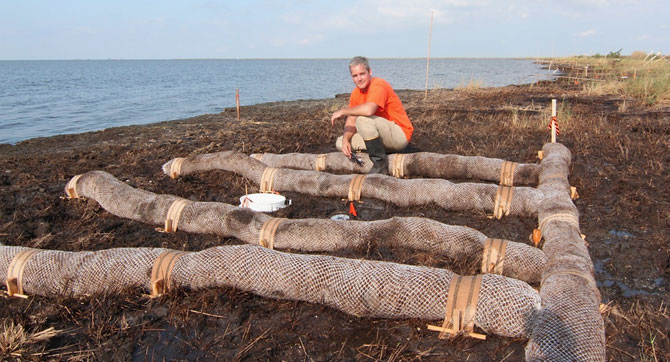 Graduate Student Thomas Azwell S Research Spurred By Gulf Oil Spill Our Environment At Berkeley