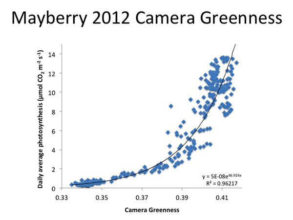  greenness-photosynthesis plot 