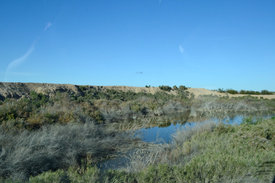 The pond in the Imperial Valley that caused the grower to abandon his field