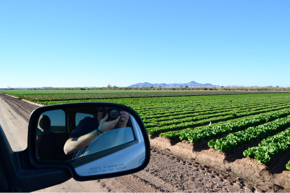 Photo taken from a car overlooking a green farm