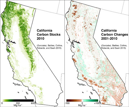 Carbon map showing carbon capture and loss in California